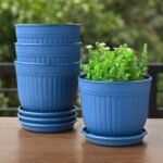 Petal pot set of 4