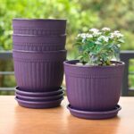 Petal pot set of 4