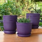 Petal pot set of 6