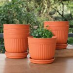 Petal pot set of 6