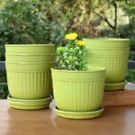 Petal pot set of 6