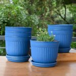 Petal pot set of 6