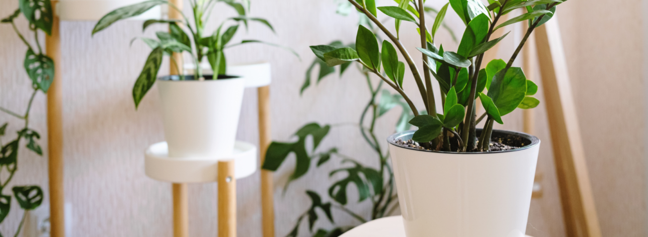 flower pot stand, flower pot stand for living room