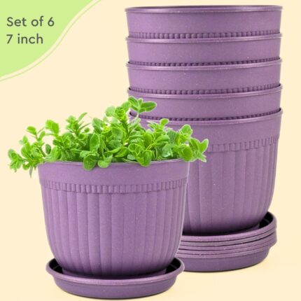 Petal Planter Primary 2 3