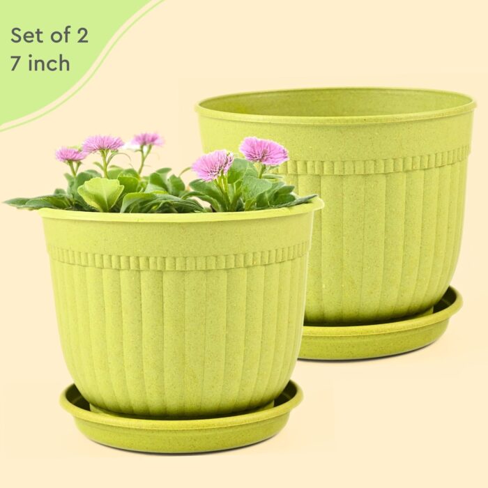 Petal Planter Primary 5