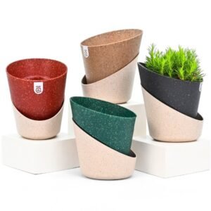 Ecobloom - Eco friendly self watering table top planters