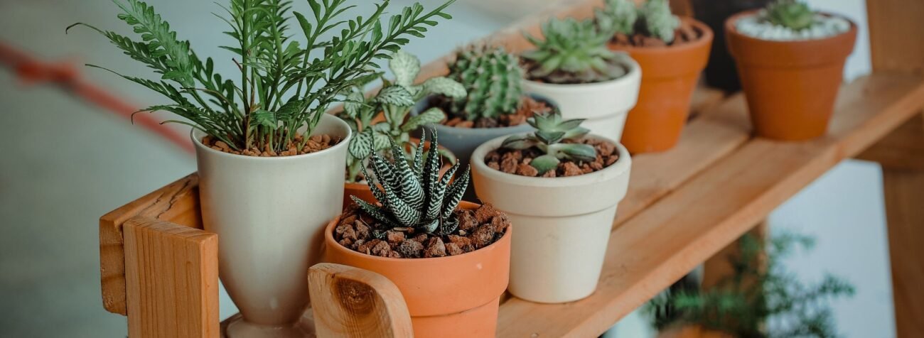 flower pot, flowers and names