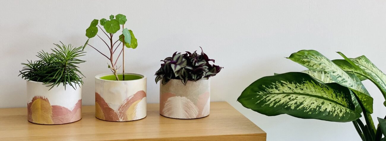 indoor planters, flower pot for indoor plants