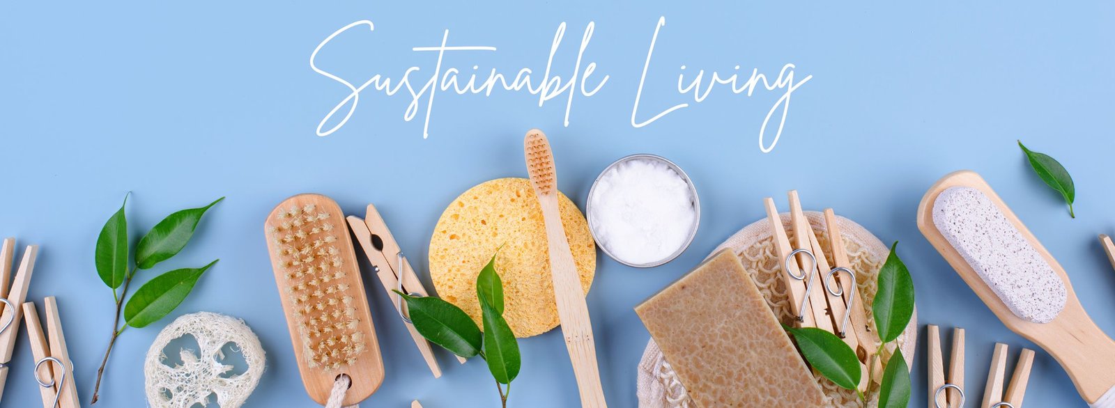 sustainable living, sustainable living lifestyle