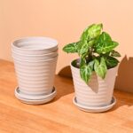 Linea 5.5" set of 4