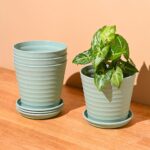 Linea 5.5" set of 4