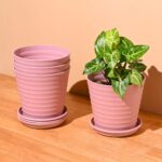 Linea 5.5" set of 4