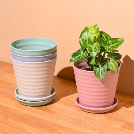 Linea 5.5" set of 4