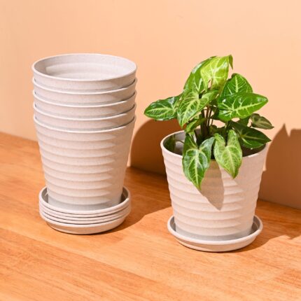 Linea 5.5" set of 6