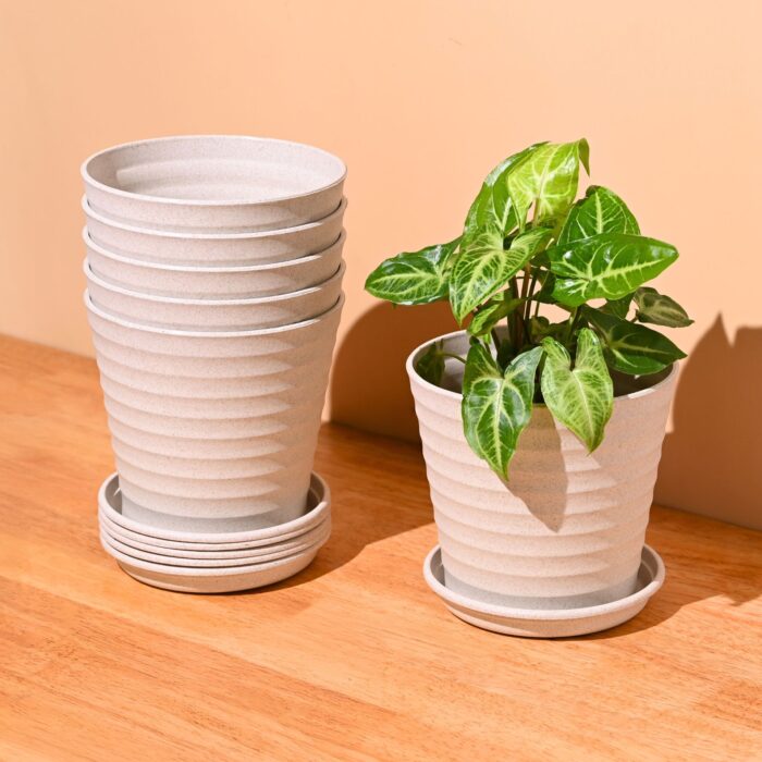 Linea 5.5" set of 6