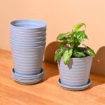 Linea 5.5" set of 6