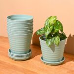 Linea 5.5" set of 6