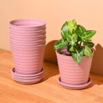 Linea 5.5" set of 6