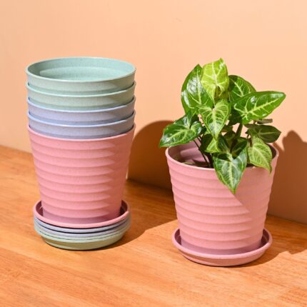 Linea 5.5" set of 6