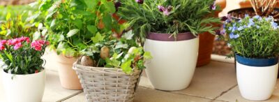 garden pots, outdoor garden pots, planter stand outdoor