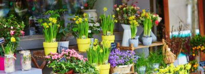 wholesale planters, garden pots wholesale, flower pot wholesale