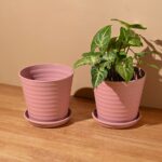 Linea 5.5 set of 2