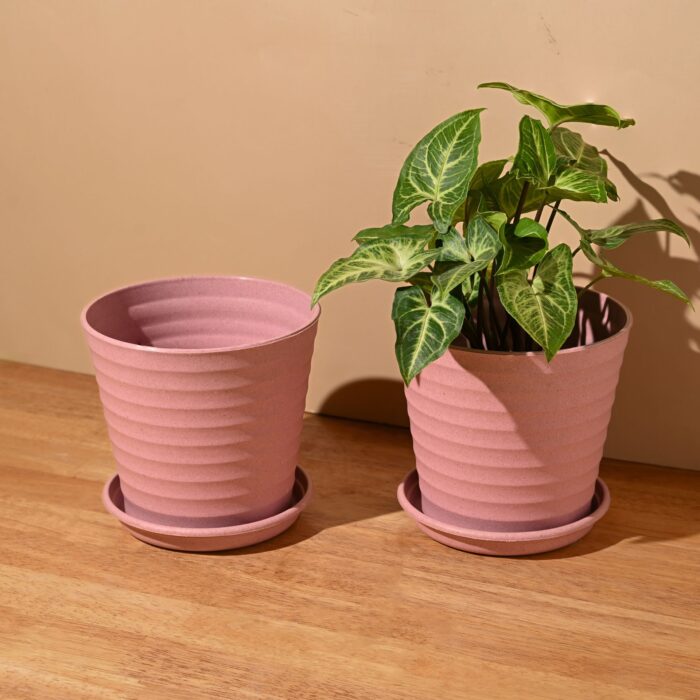 Linea 5.5 set of 2