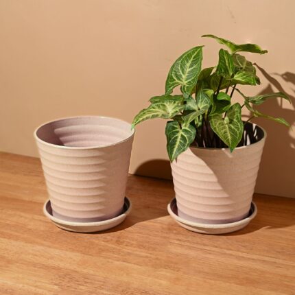Linea 5.5 set of 2