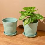 Linea 5.5 set of 2