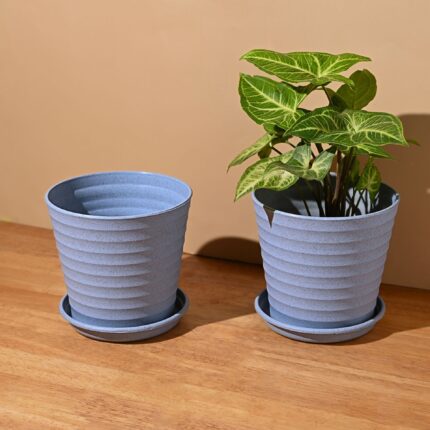 Linea 5.5 set of 2