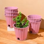 Ace planter
