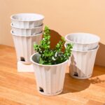 Ace planter