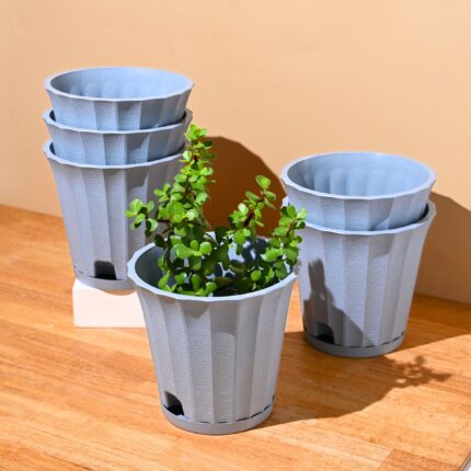Ace planter