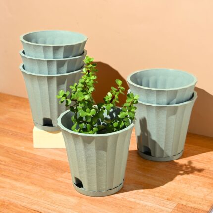 Ace planter