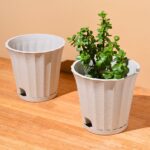 Ace planter 7"