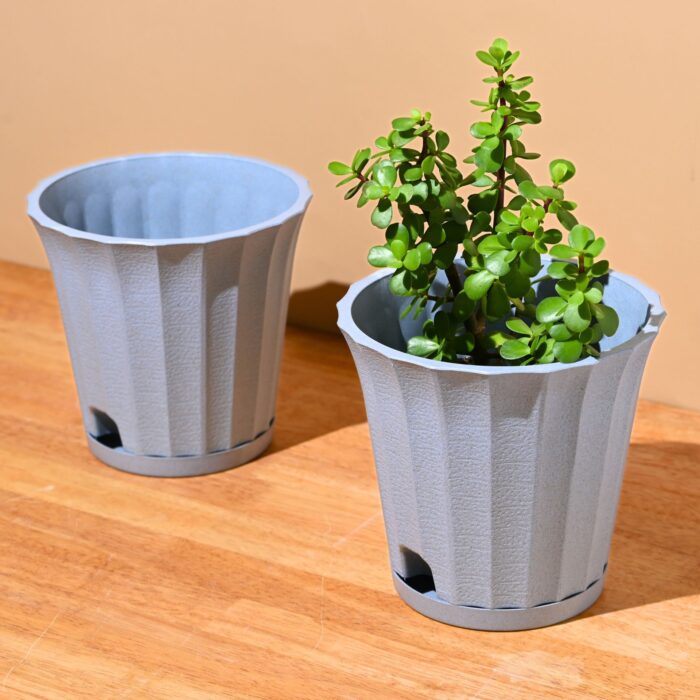 Ace planter 7"
