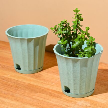 Ace planter 7"