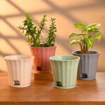 Ace planter