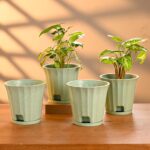 Ace planter