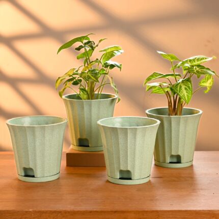Ace planter