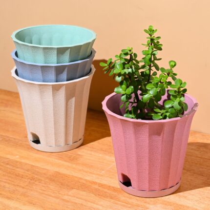 Ace planter