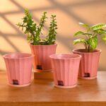 Ace planter