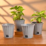 Ace planter