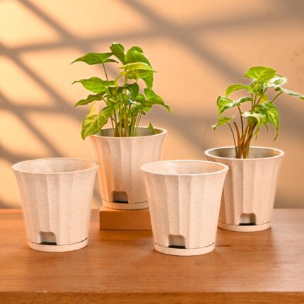 Ace planter