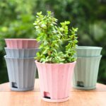 Ace planter