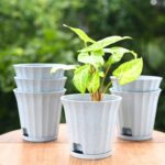 Ace planter
