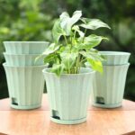 Ace planter
