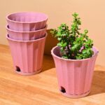 Ace planter