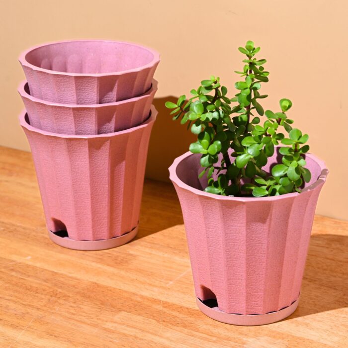 Ace planter
