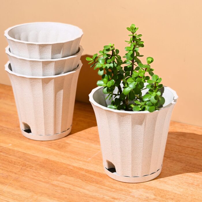Ace planter